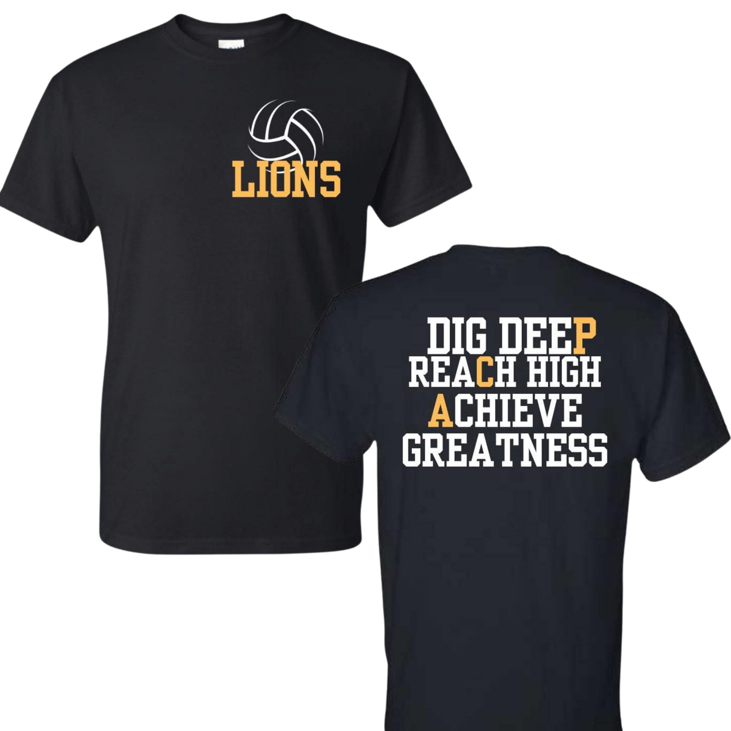 Lions Volleyball